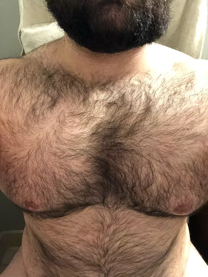Freezing in Michigan glad I got the body hair by ScottyMIBear