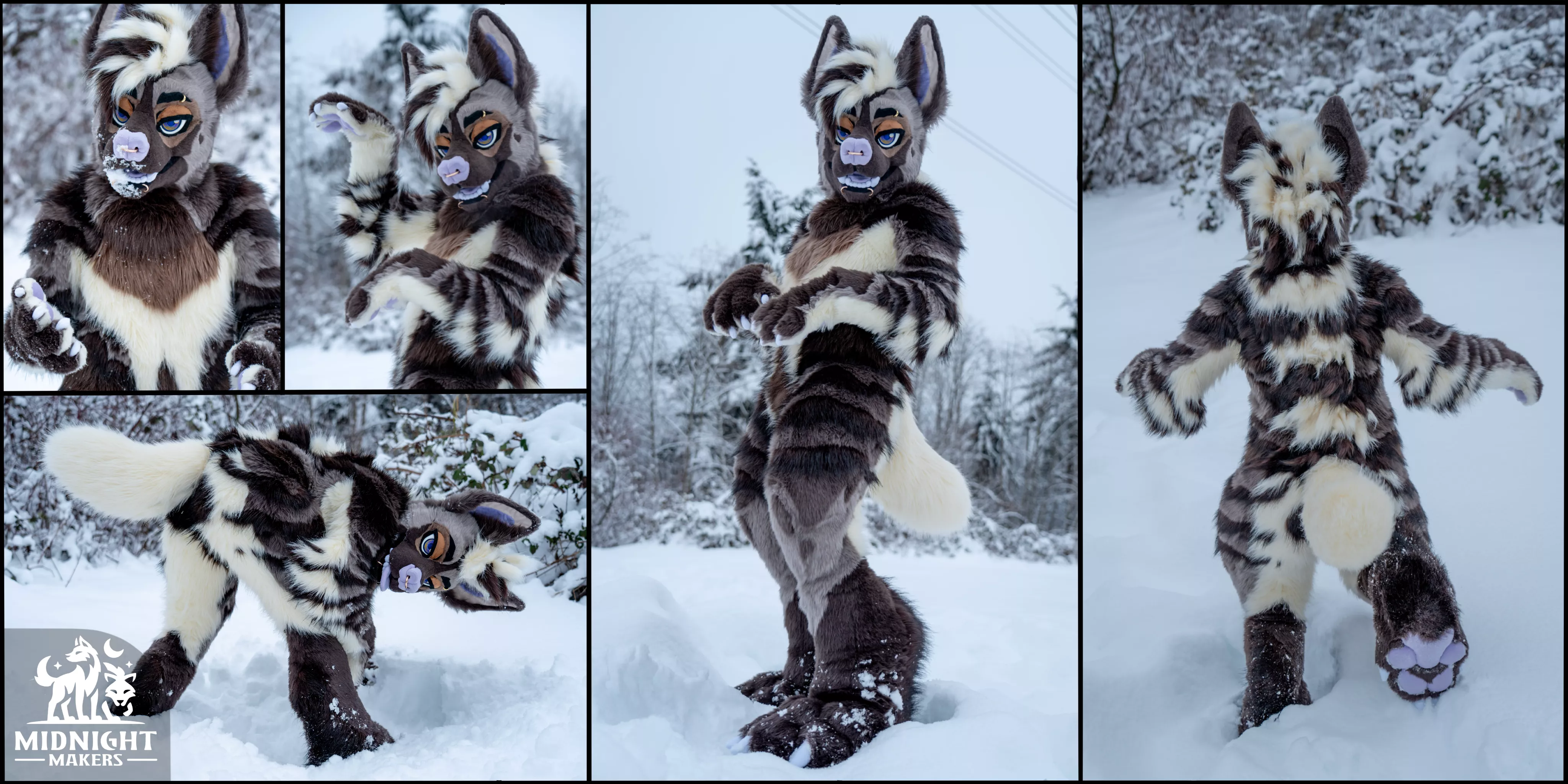 Gray Hyena posted by MidnightMakers