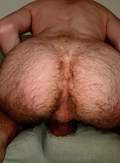 I want you to eat me out by Separate_Fly6315