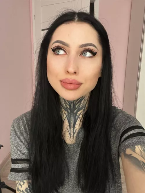 IUTR by Stellar-Dash