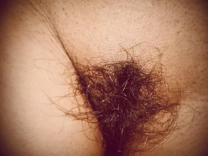 My mexican wild bush by mrymx