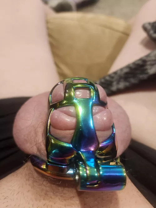 New cage enjoying design by craig10000