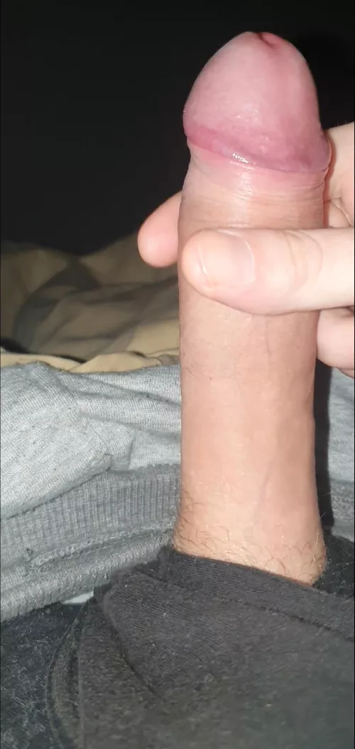 Play time by Chemical-Worker-1224