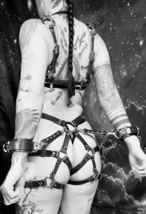 ready by UrsinaeVespera