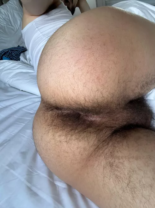 What do you think? 🐽 by RagerCagerXX