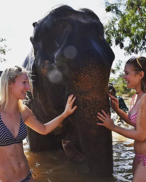 2 girls in bikini by phonyBrunt