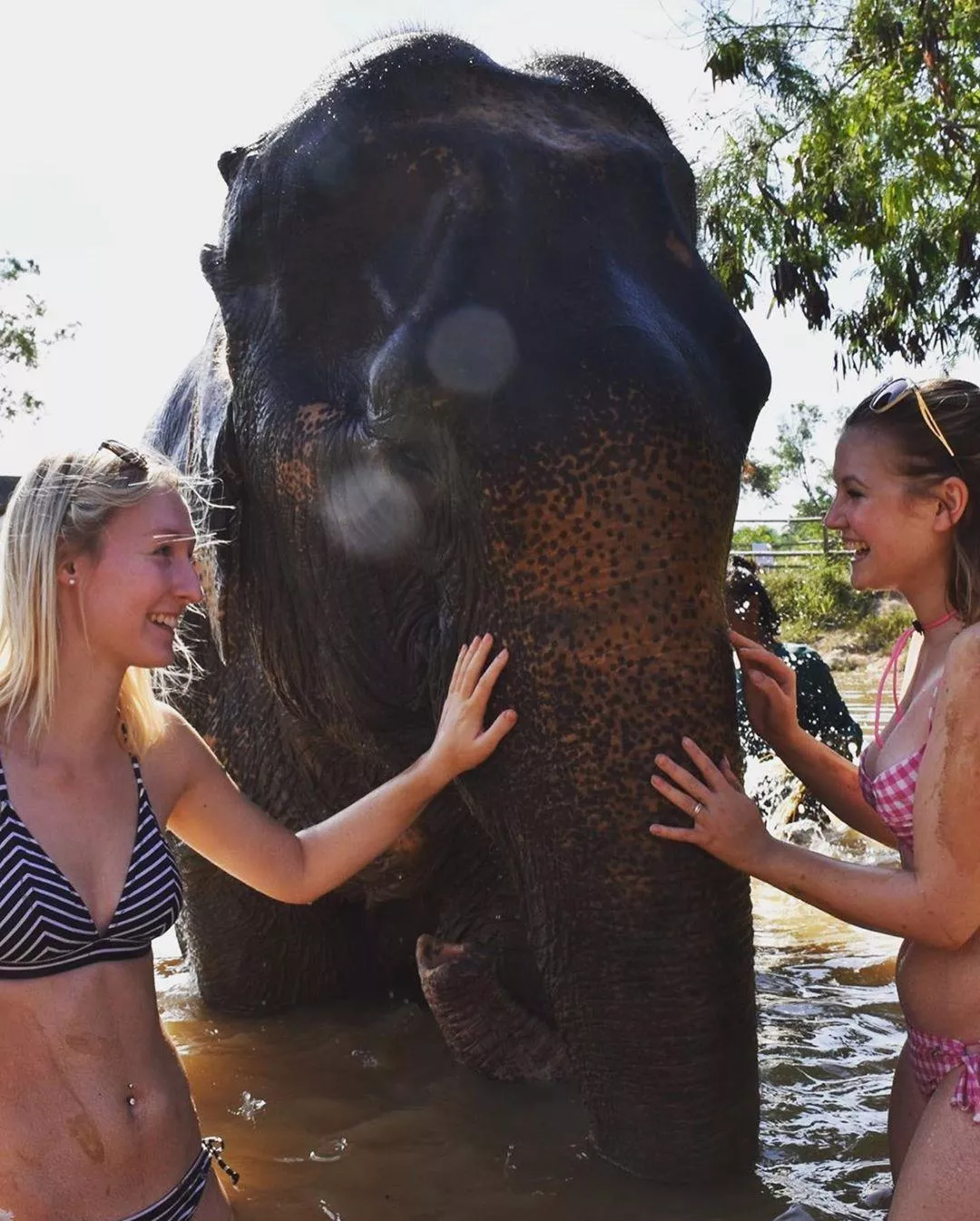 2 girls in bikini posted by phonyBrunt
