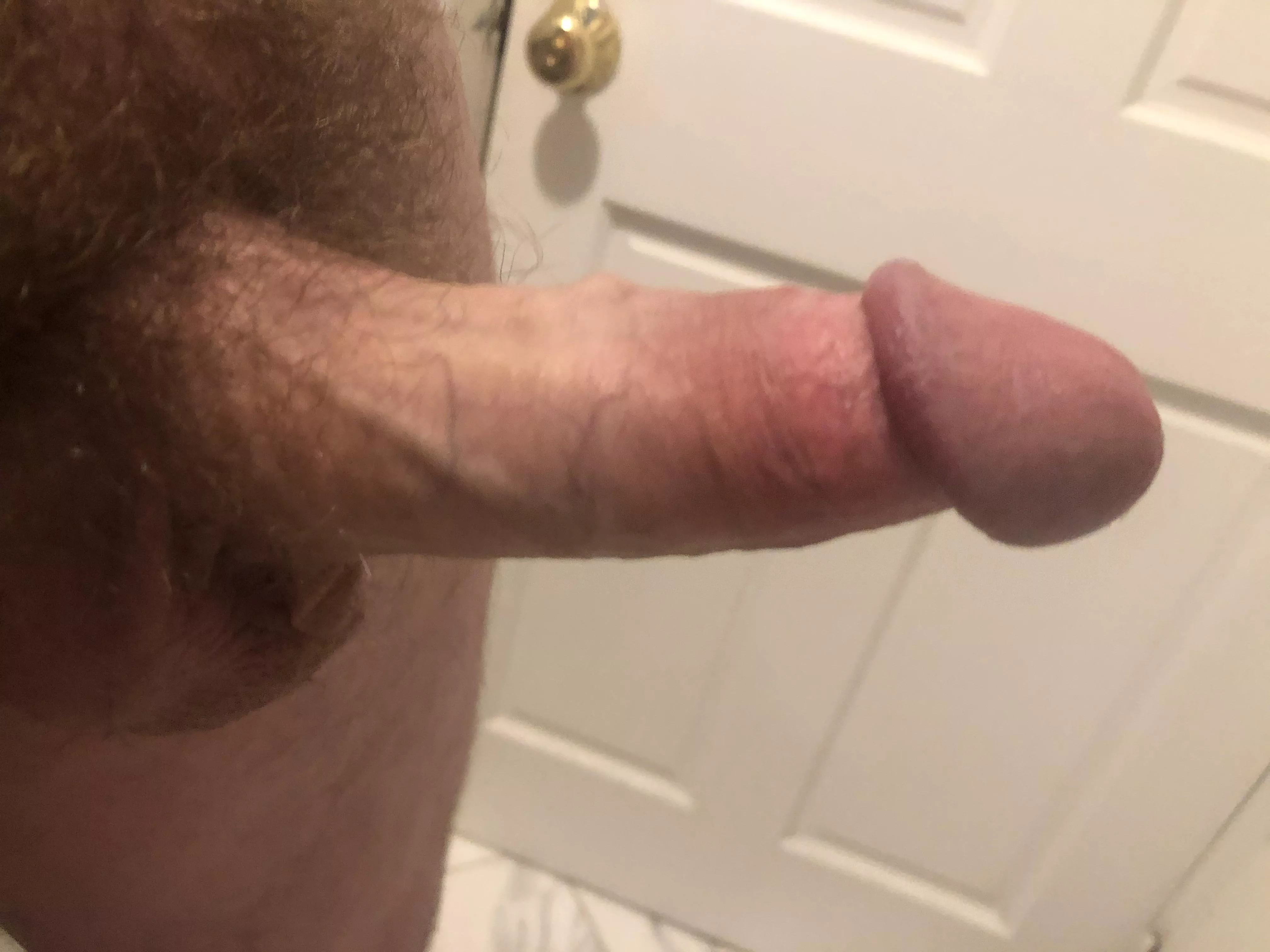 Always hard 😏 posted by mildMogw