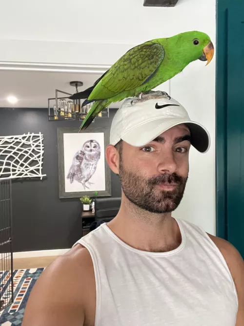 Are we posting our birds now? by wheresmomo