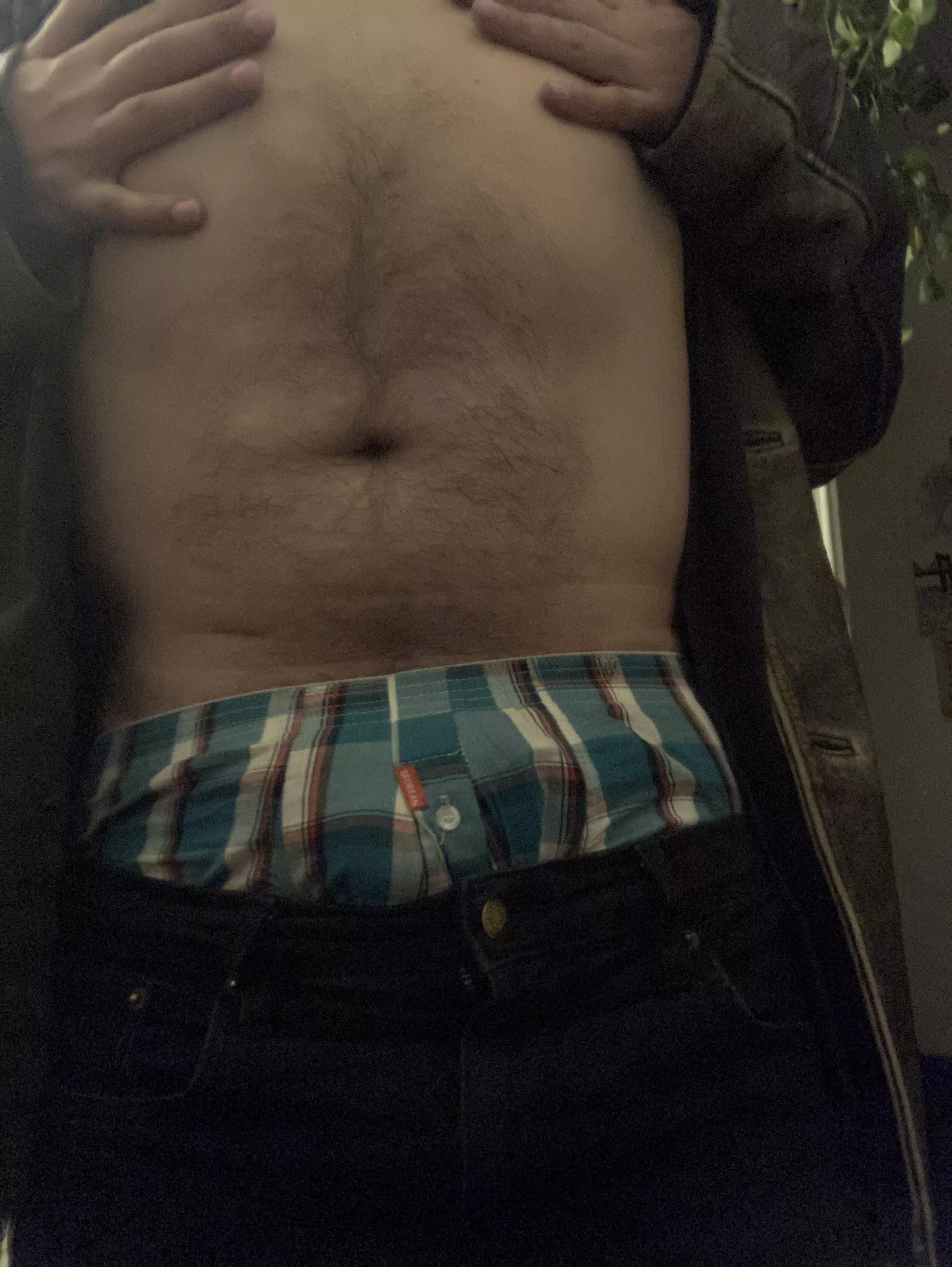 Boxers and hairy belly posted by gutterfagg