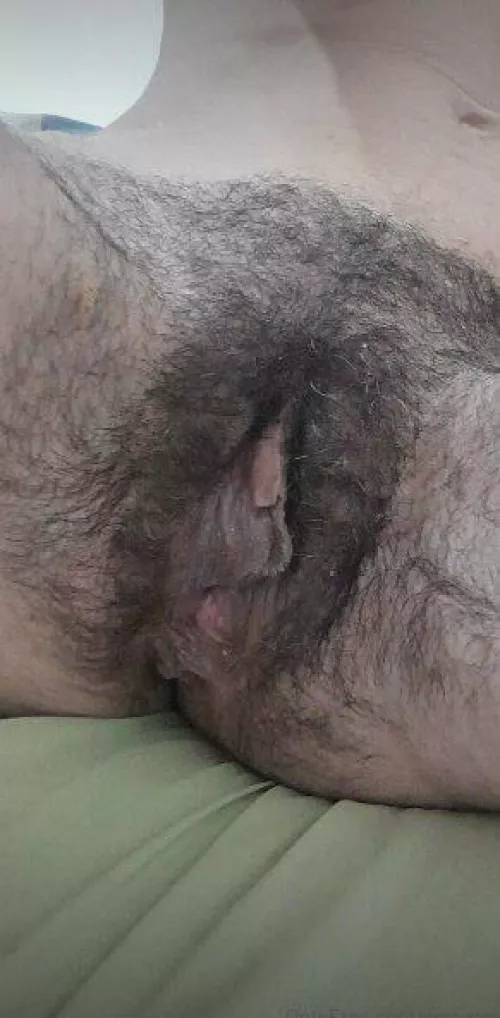 I know you are a bush lover, come use mine for your fun. by veRo3359