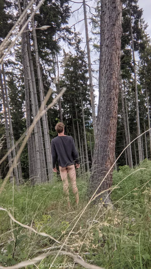 Is there any wood I can chop? by Linocassier