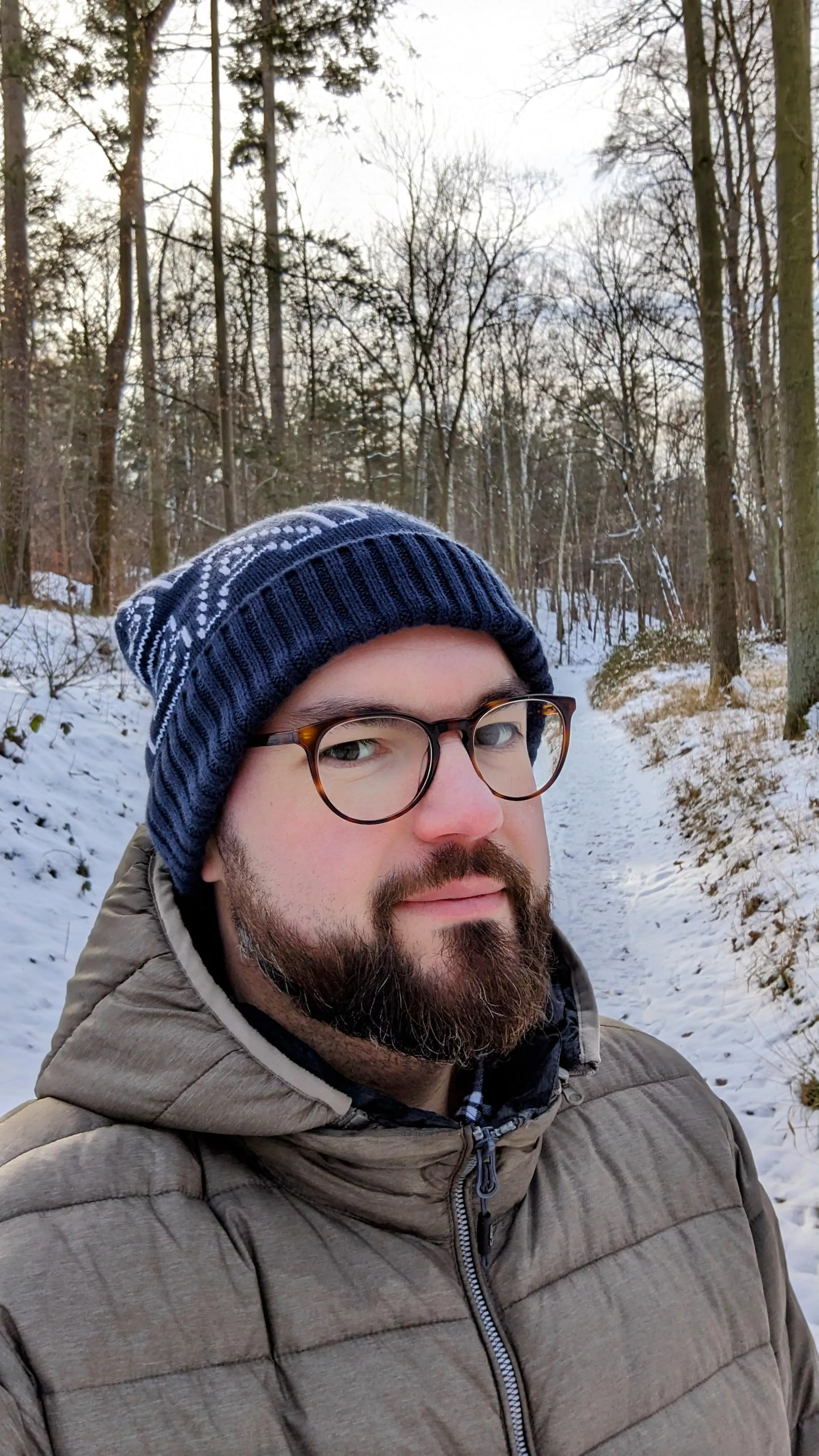 Just a snowy day in the woods posted by Finyar