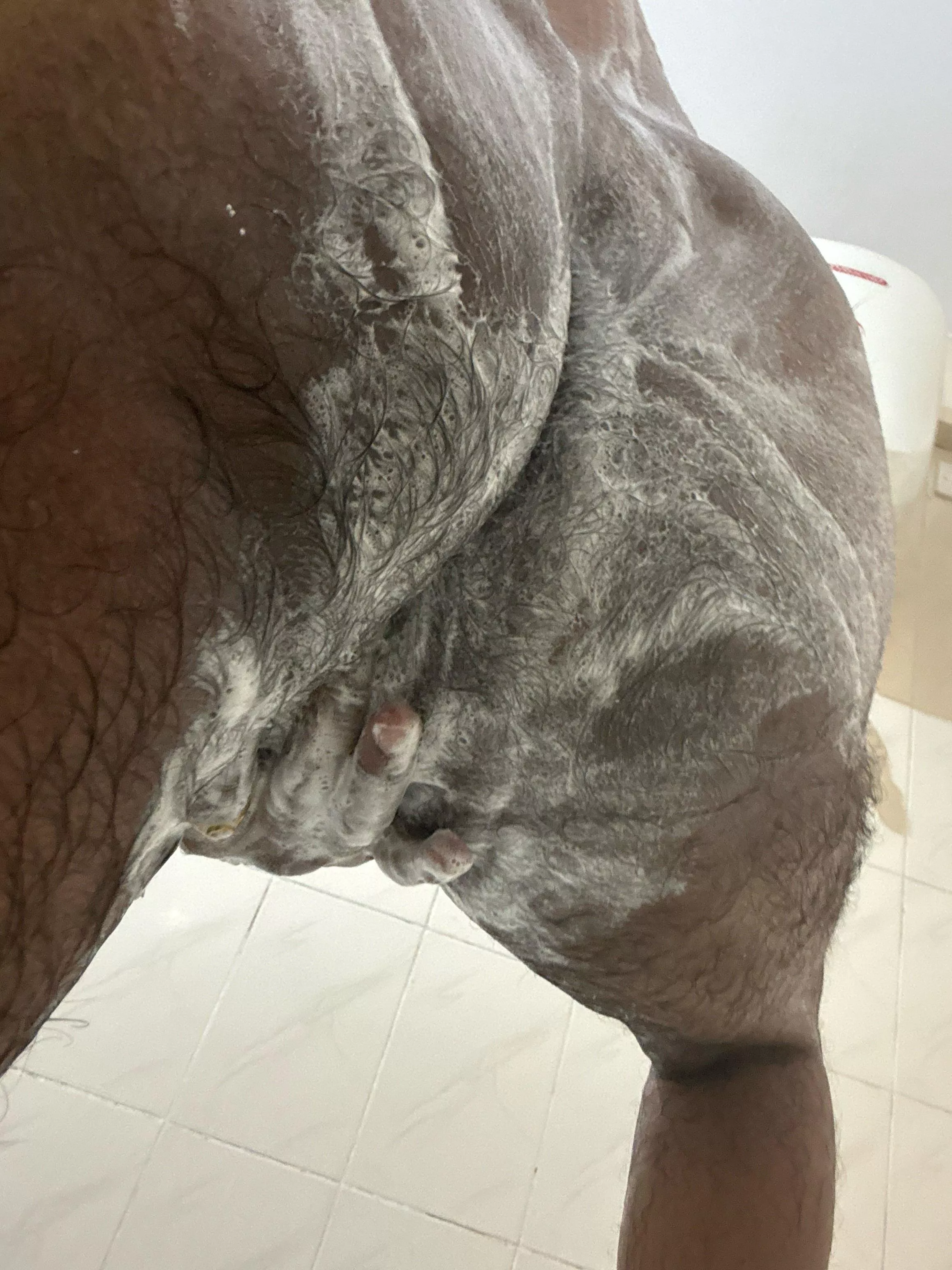 Oh it’s all lathered up posted by BigDarkSecrets