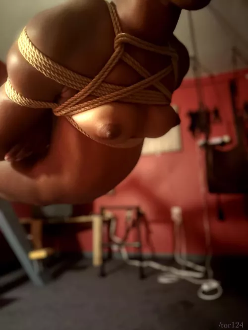 Peaches flying part 3 of 3 by tor124