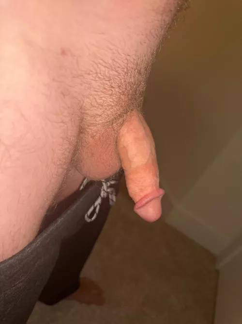 Start of the race by Royal_Building_