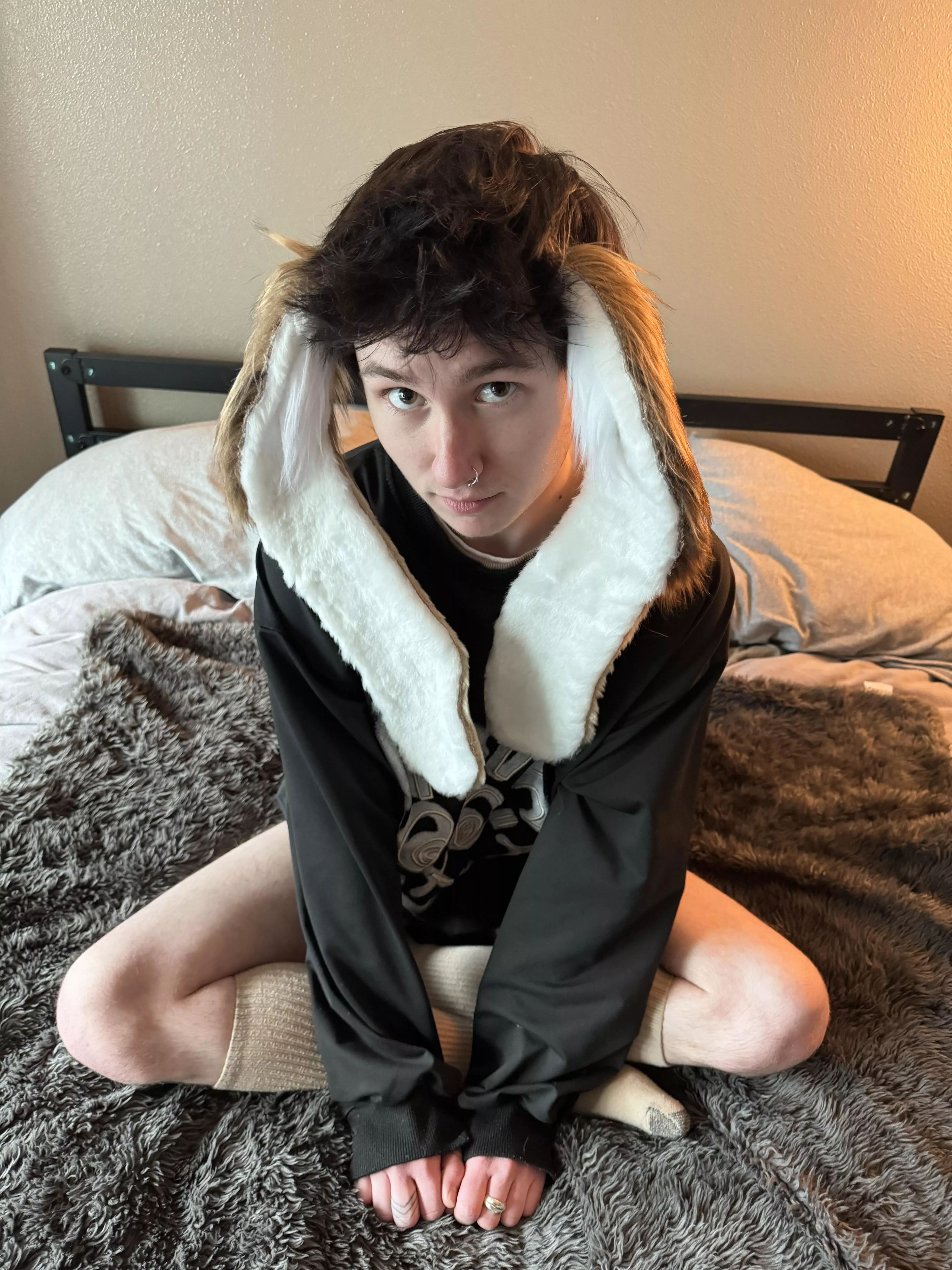 this little bunny boy needs to bounce~ you letting him hop on for a ride? posted by JuicyAssJudas