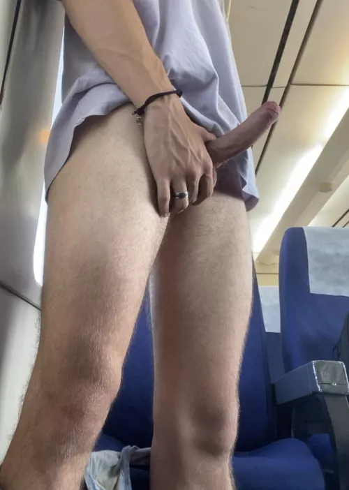 Train fun by Accomplished-Mode-35