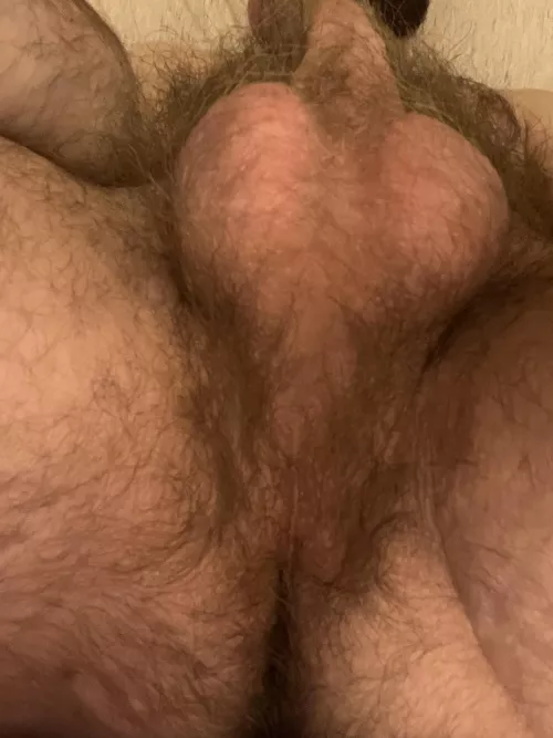 Your face in my taint - deal? by Red-Bat1