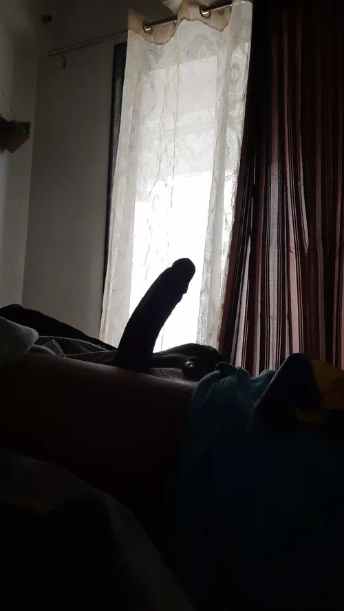 your morning view 🪵 by ookami20