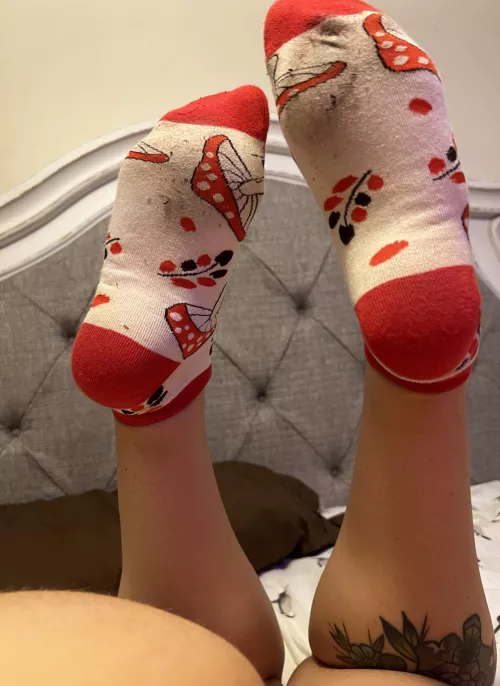 Yummy mushrooms by penelopes_nectar