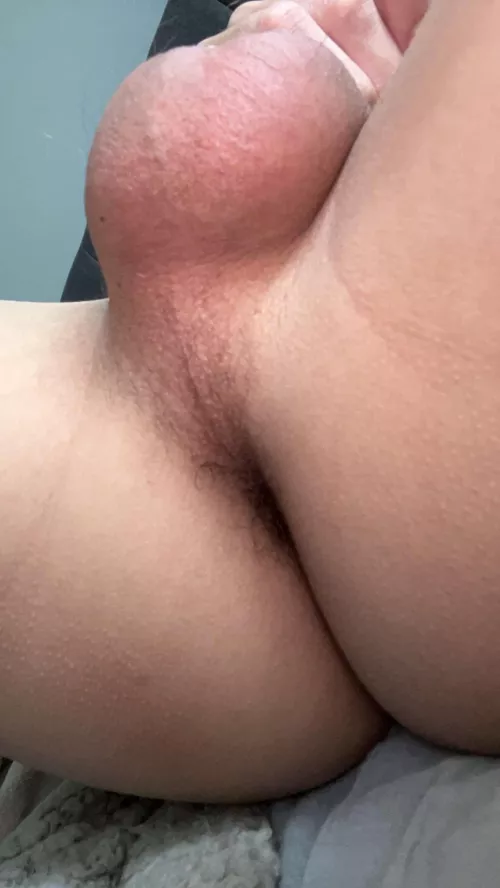 18 i bet your cock would look amazing inside my little hole by littletwinkclit