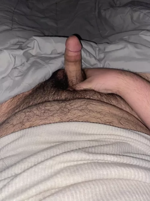 (18m) first post 🙈 🍆 by Overall_Singer_8163