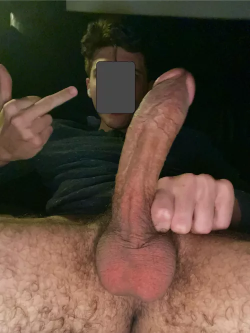(24) shut up and suck my dick bro by italidick