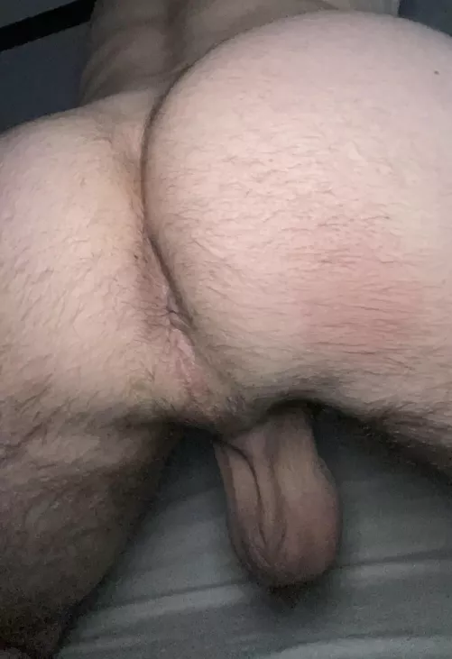 28. Hoping to find myself a hairy daddy/bro to use me. DM for snap by Verspoler