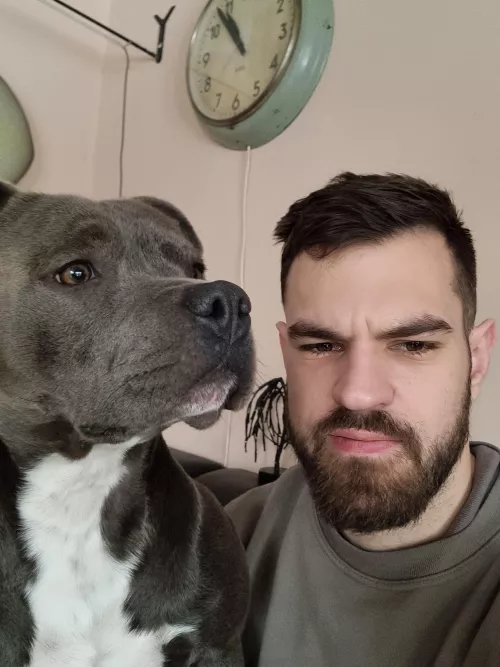 Any dog lovers here? by babeloe328