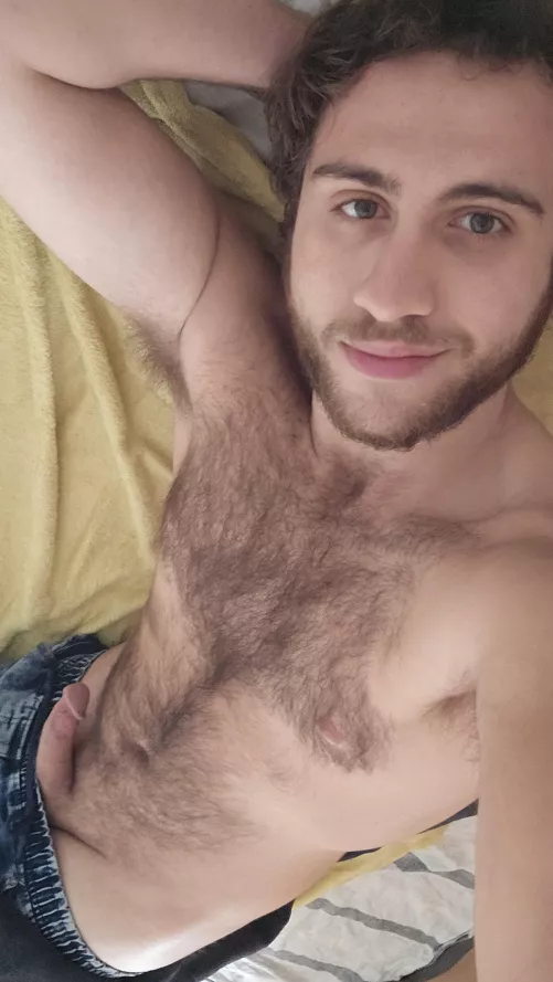 Comment only if you secretly want me 🤫 by eladryen