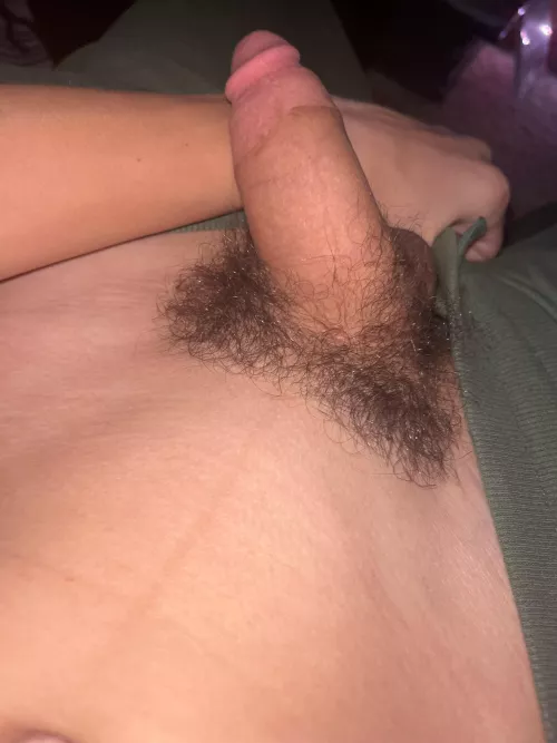 DM me for the full thing by Lumpy_Ad9045