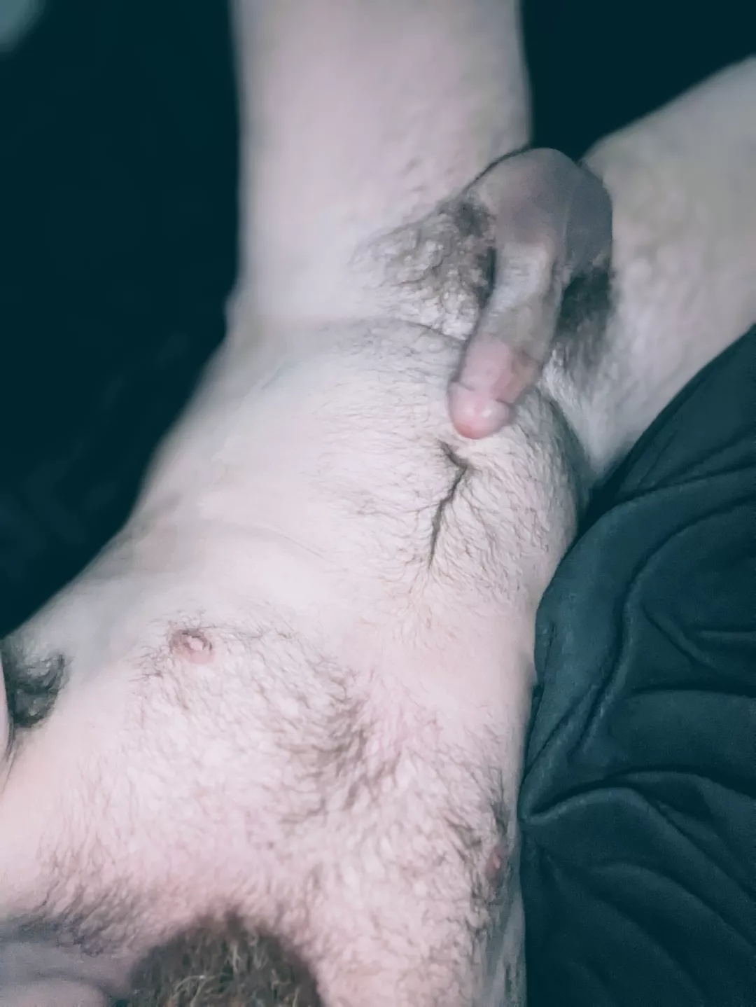 Hope you like my fur! posted by Hidenseek90