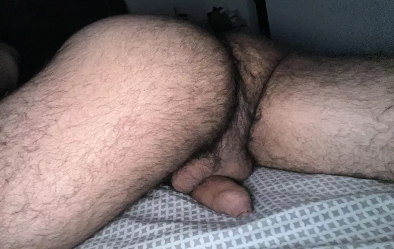 Insert 👅in my 🍑 please by ammarreddit95