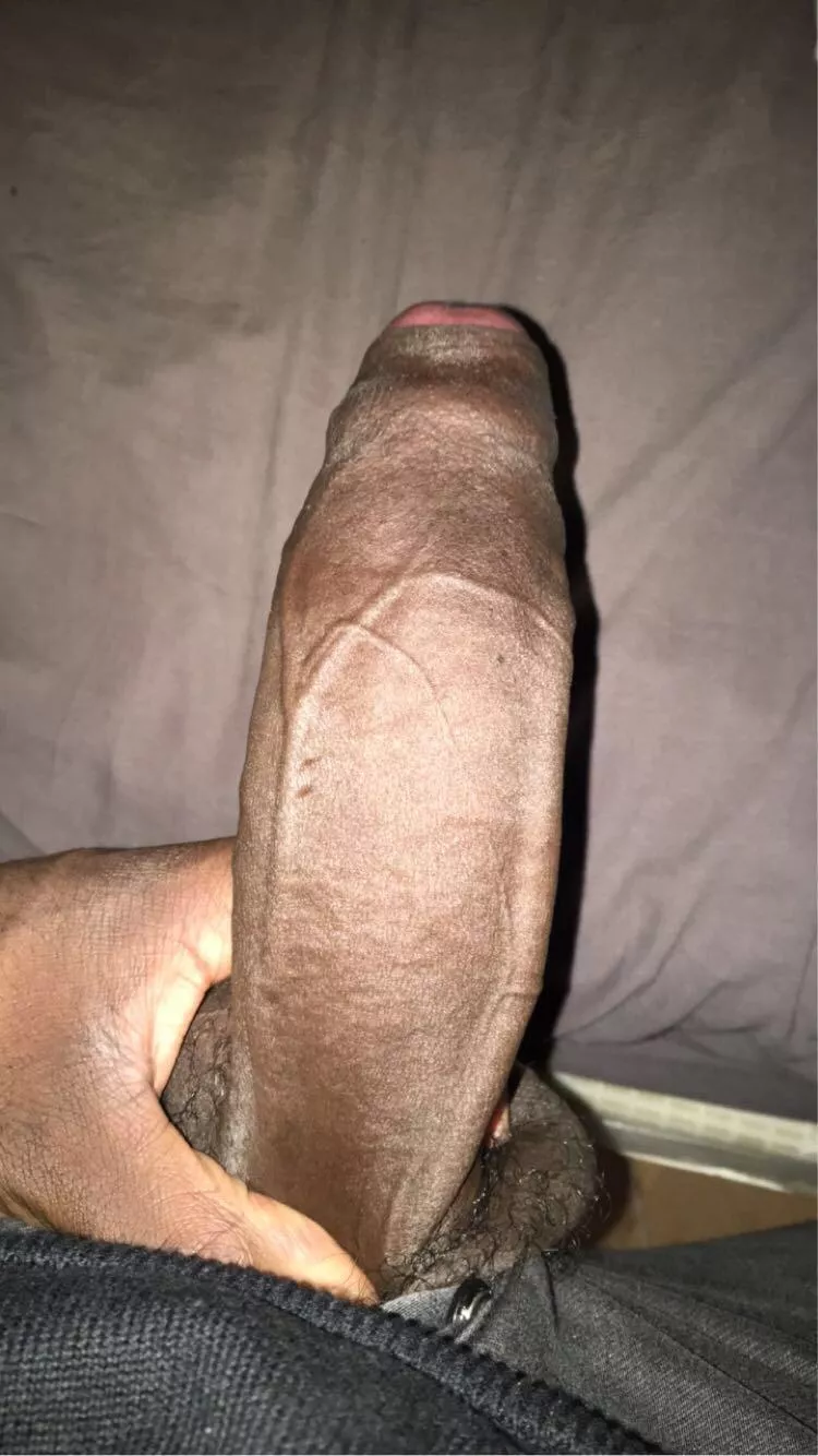 Let me split you in half posted by TwistedBomberZ