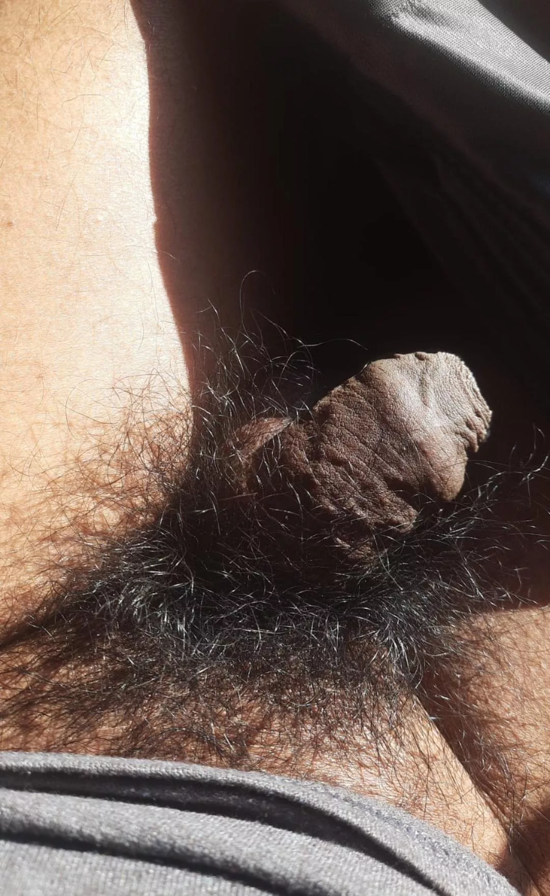 My Desi softie sunbath posted by SaltKing8715