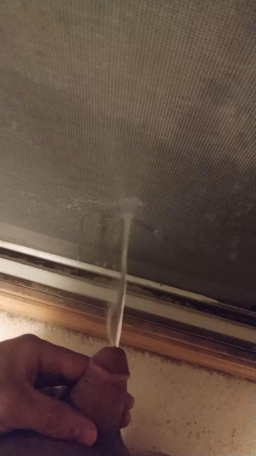 My Favorite Way To Pee Right Now!! So much fun! (M) 26 by Comfortable-Peace973