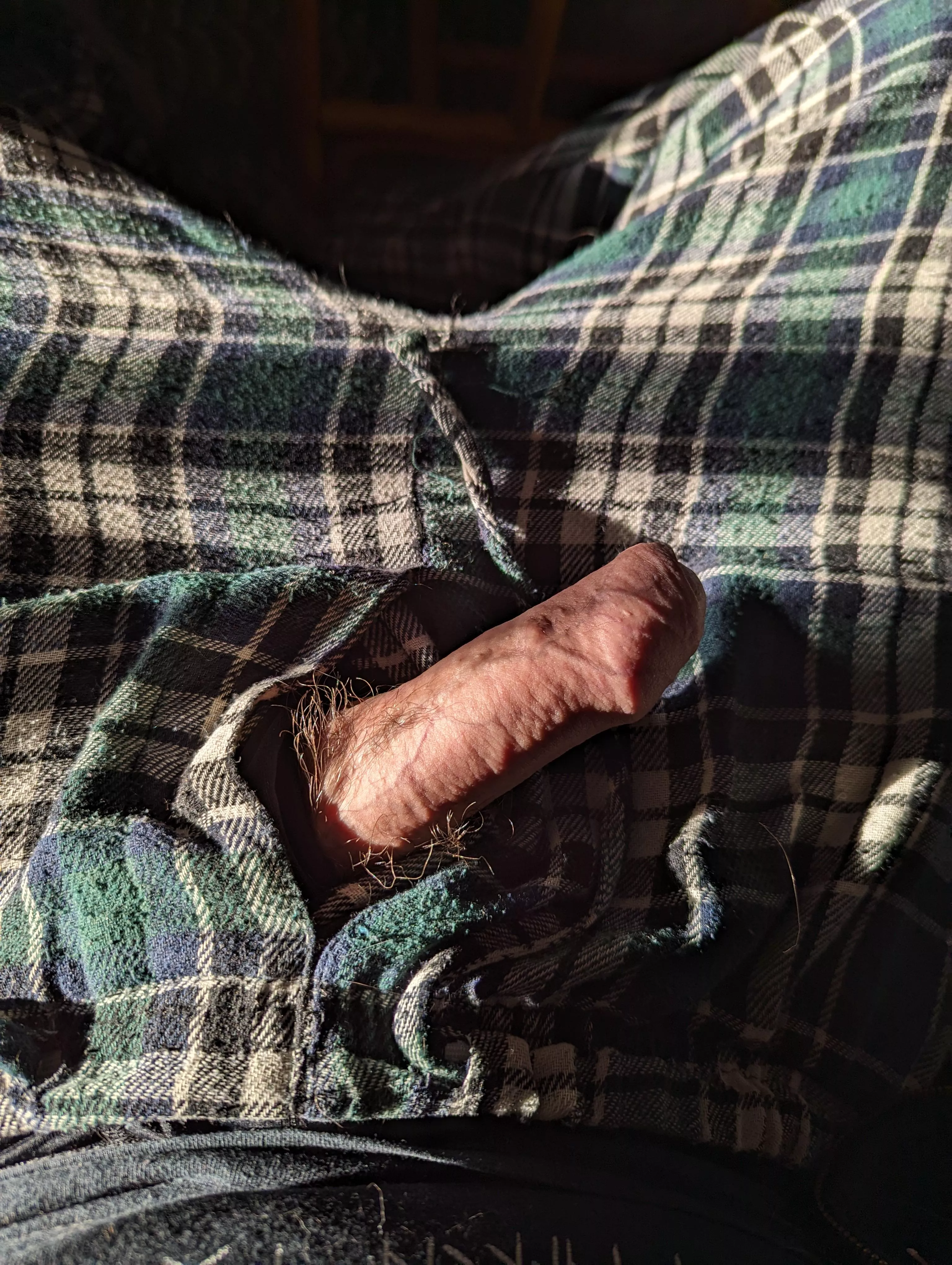 My sunbathing softie posted by Brilliant-Impress-92