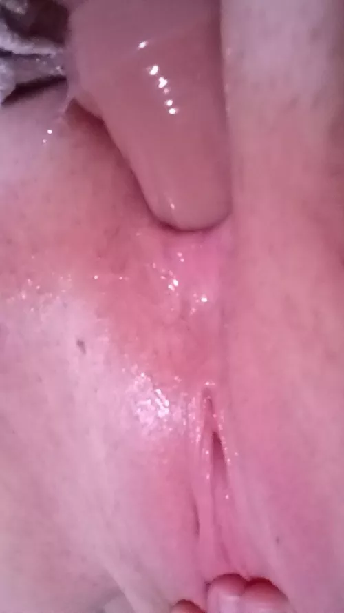 Need a new owner 🤭 by urpuppgf