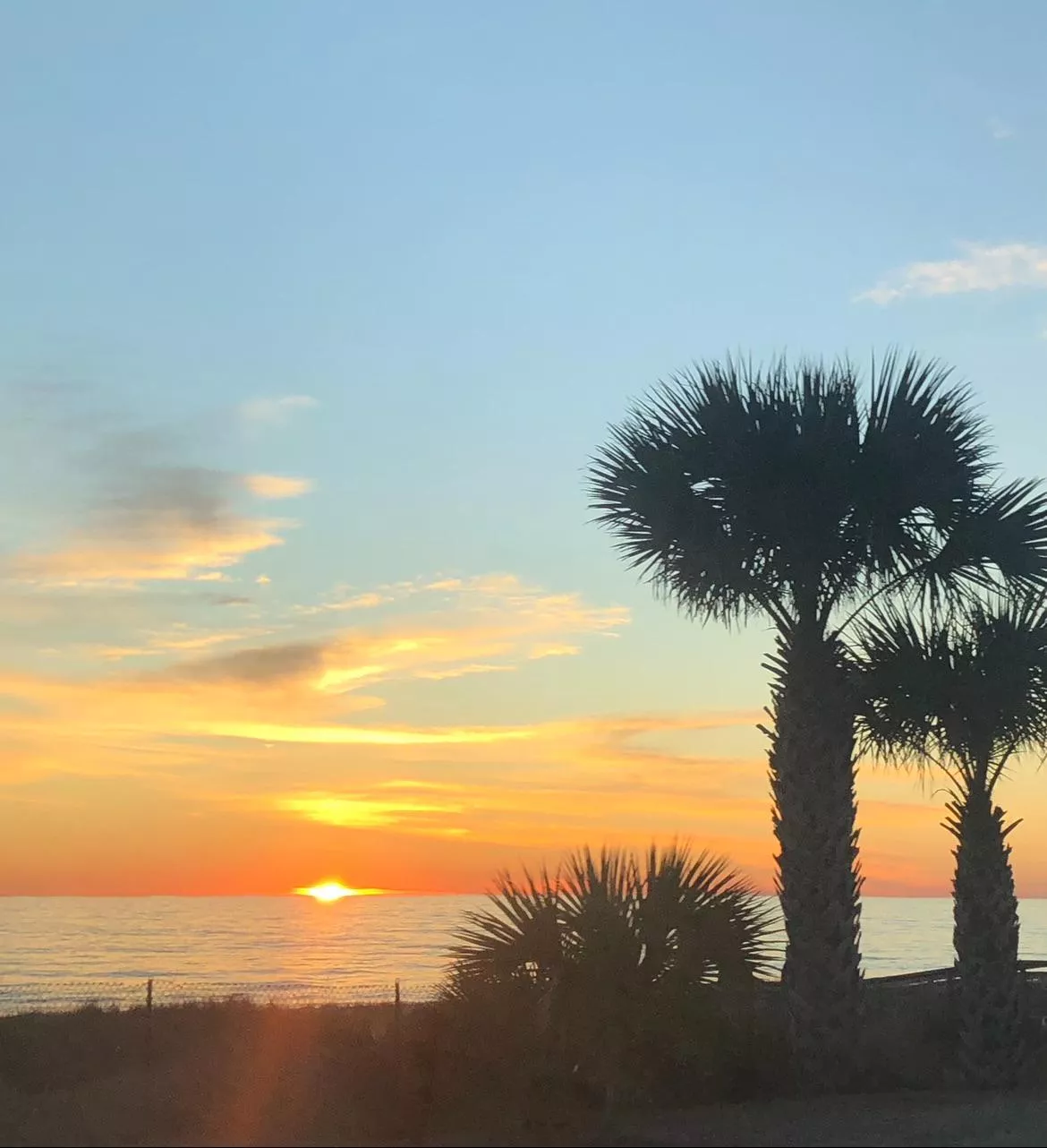 Sun(mind)set OC posted by anitajoint-420