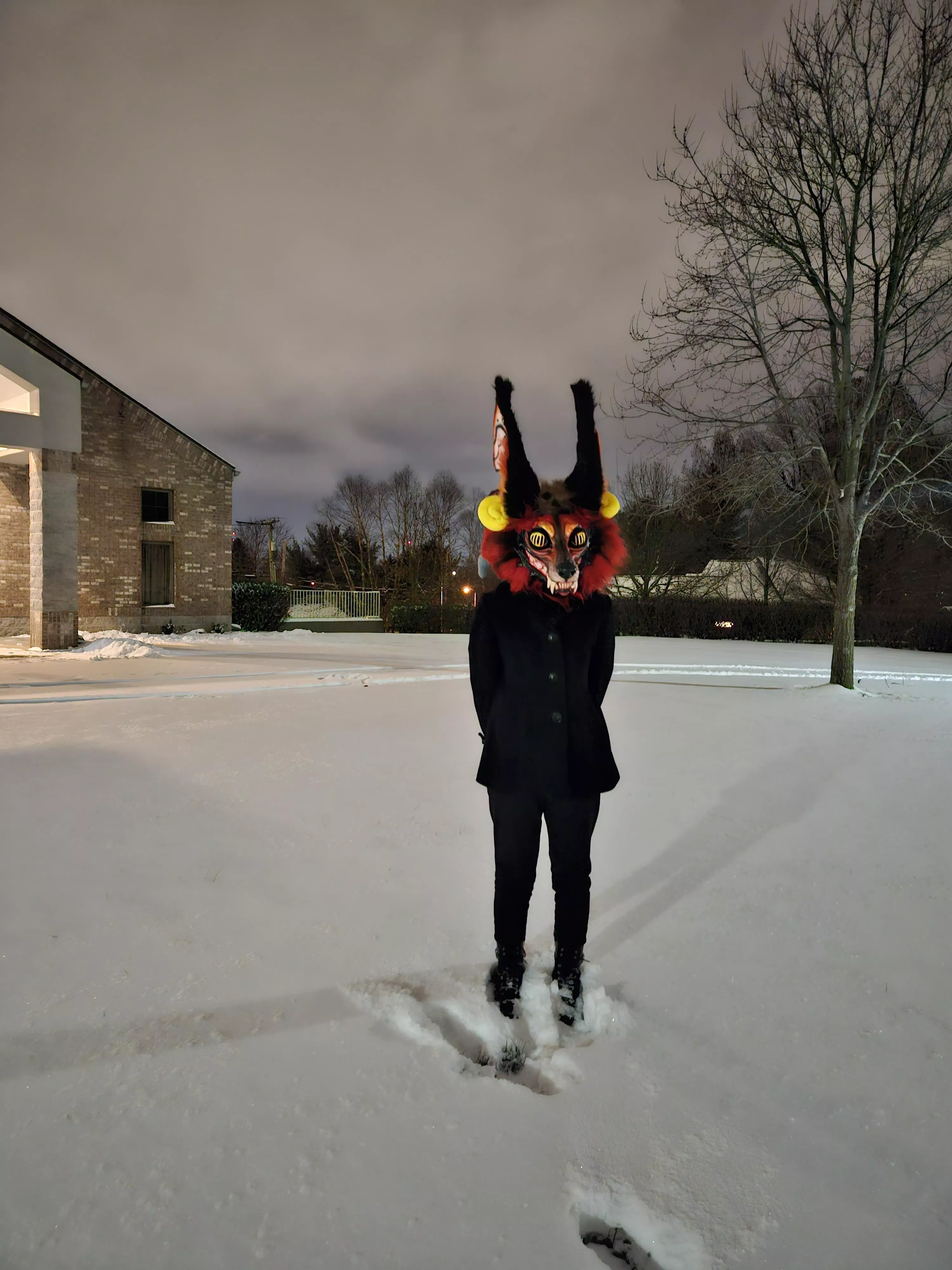 The cold cant stop me posted by Lemon-Concentrate