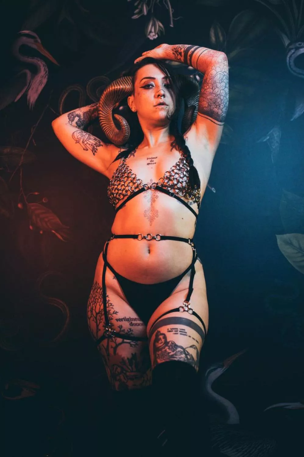 the horns posted by UrsinaeVespera