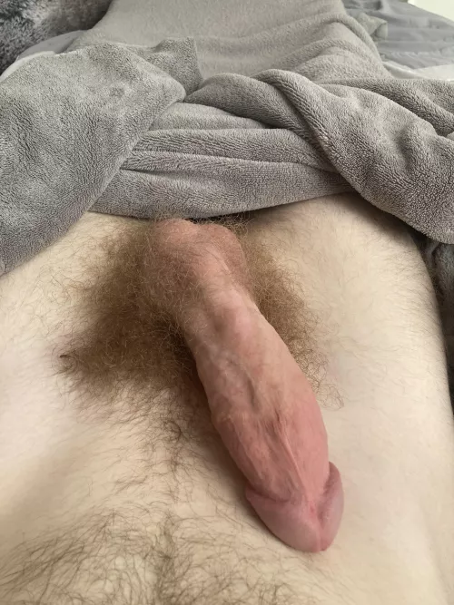 when the happy trails leads to a big bush by everglow03