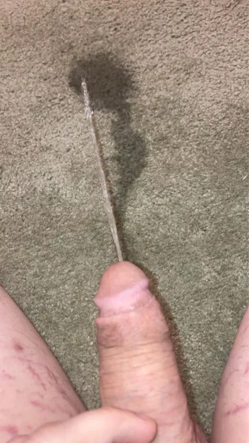 18 I couldn’t hold it in any more by Potential-Nothing-81