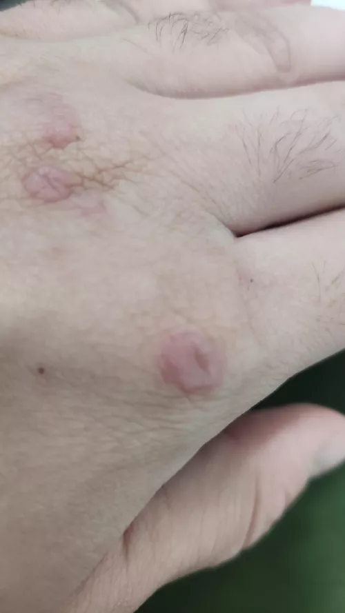 Anyone know what this could be by That_Energy6027