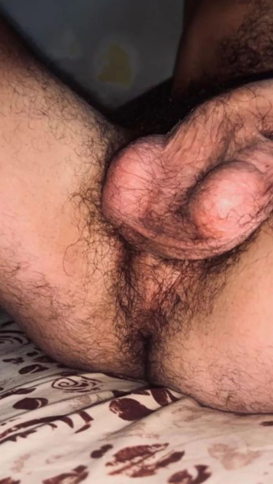 For 👅 posted by Animals-Reveal-666