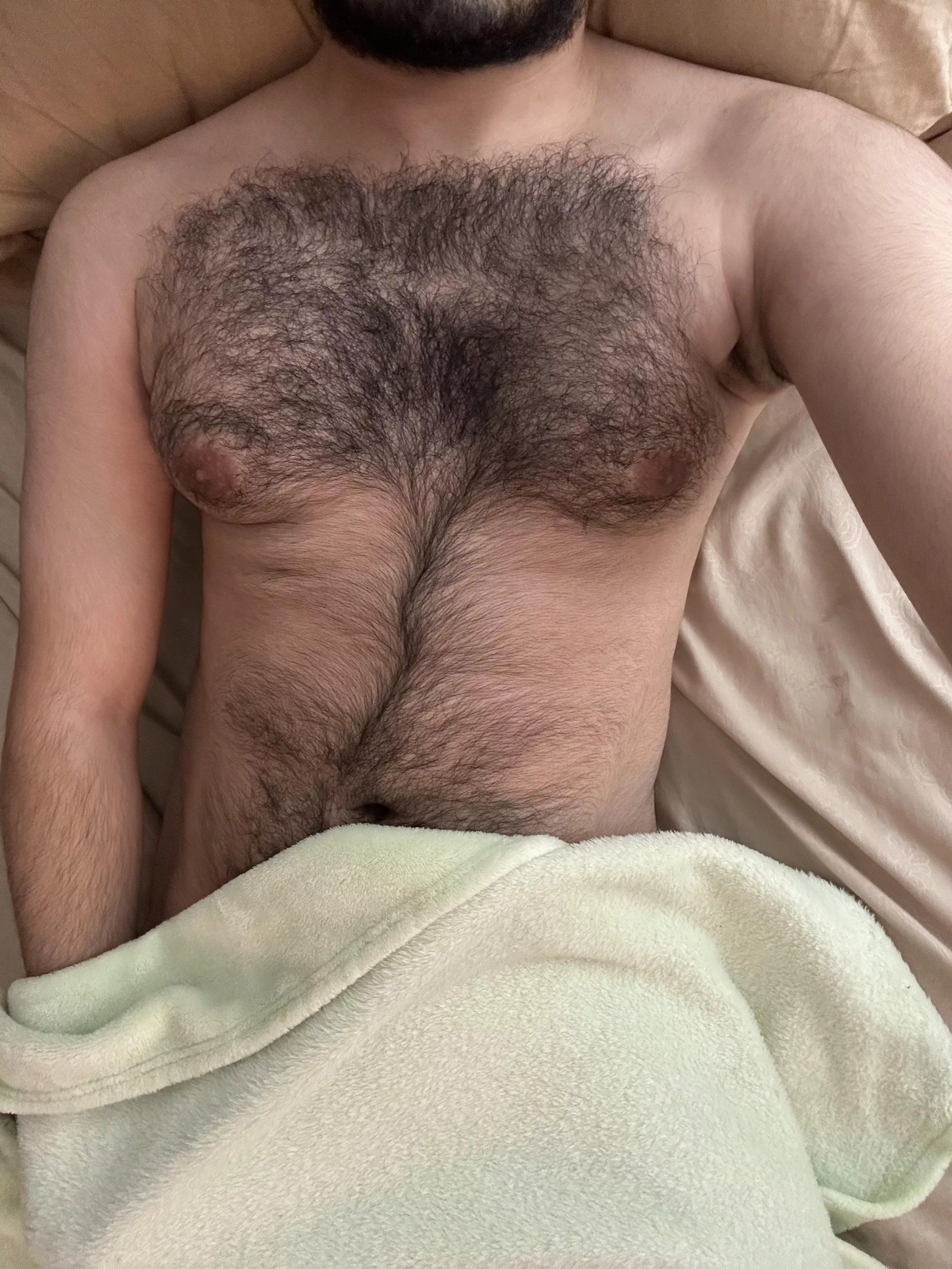 Gayhairyvers posted by tas106
