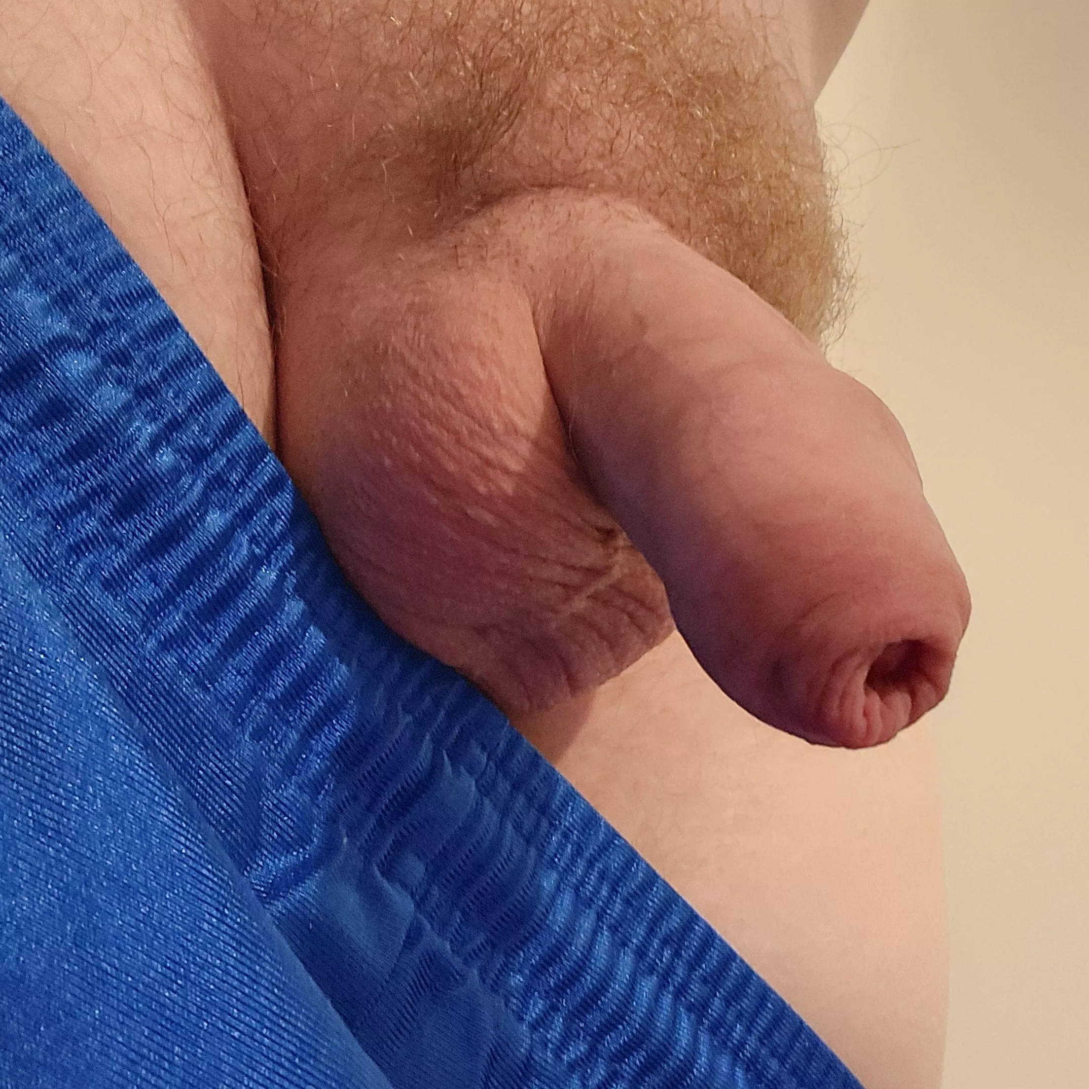 Good Morning from a cold Softie. Haha posted by Boredandhorny2024