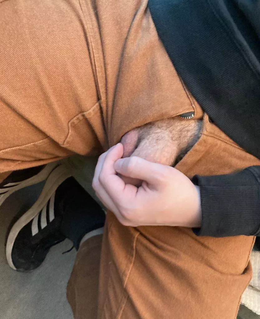 My friend dared me to pull it out in public. Reply if you'd like to see it without my hand posted by Illustrious_Ladder