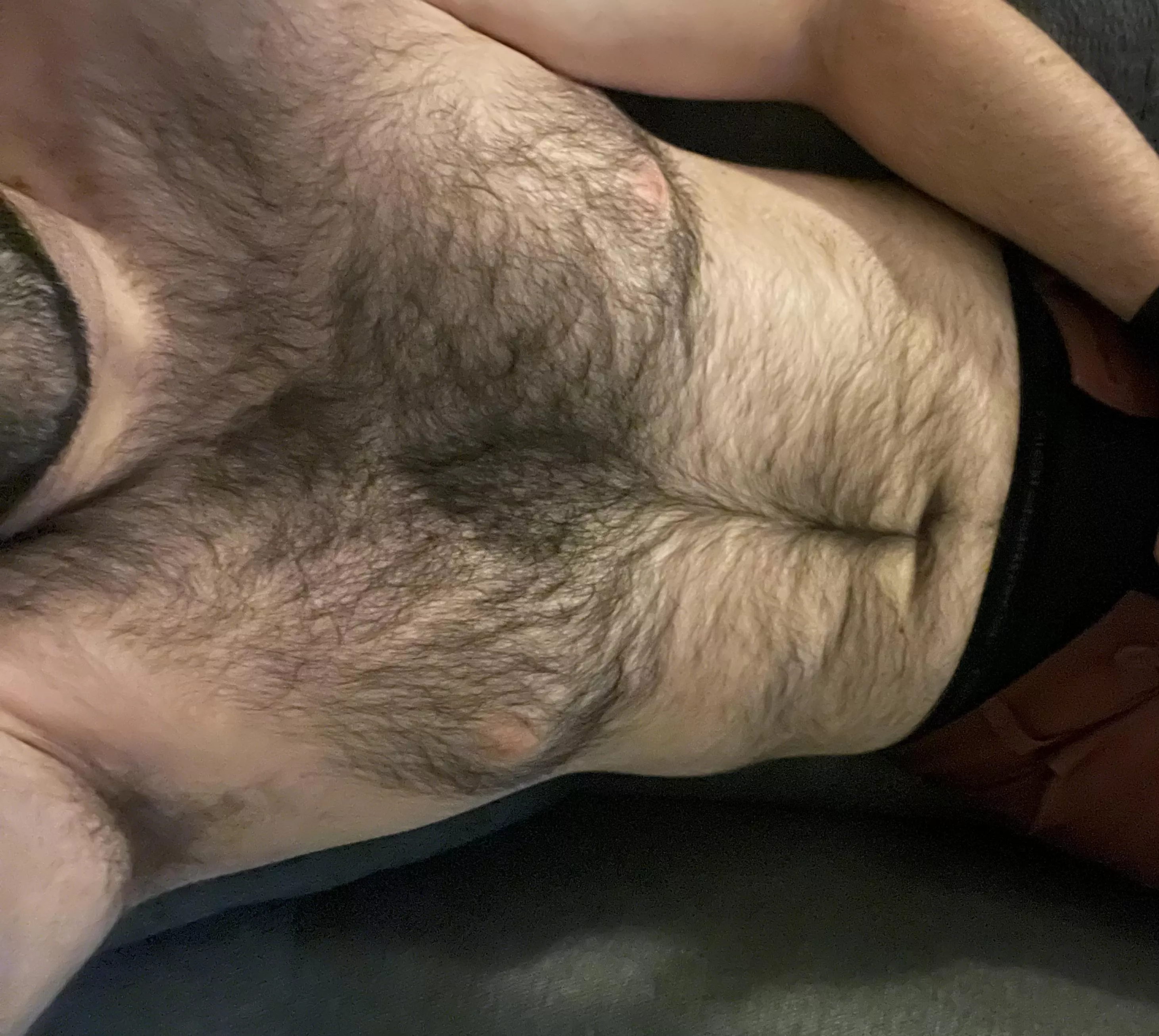 Ready when you are. posted by DefinitelySufficient